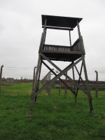 /album/galeria-12-auschiwitz-polonia/bild-458-jpg/